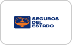 seguros del estado